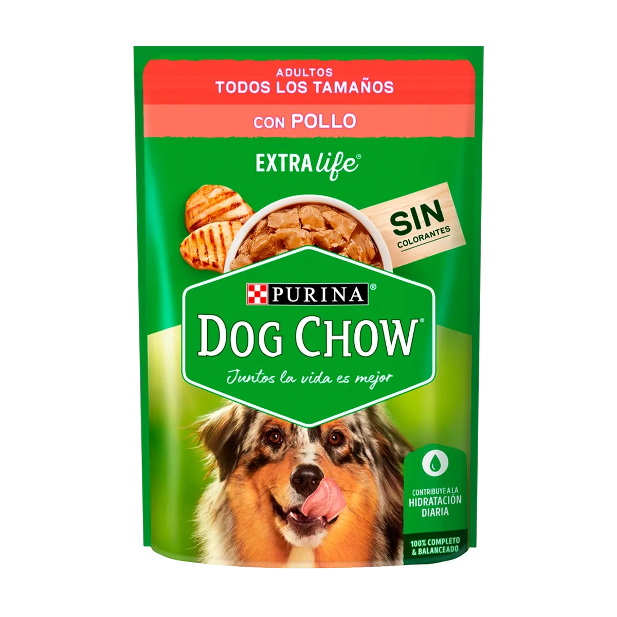 Perro Chow Adulto Pollo 100 Grs (Pouch)