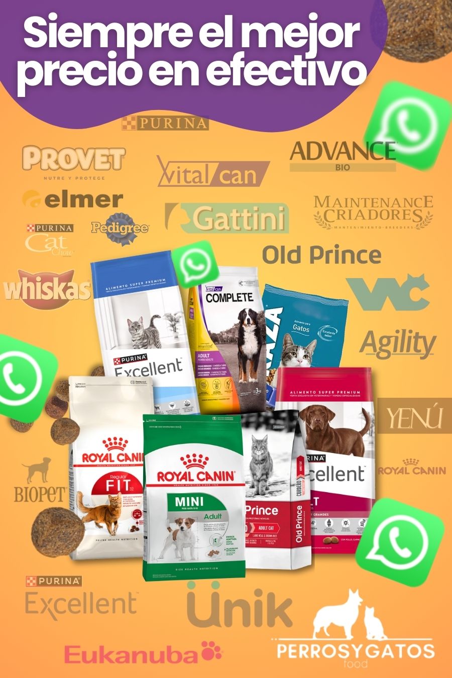 1° imagen que debe verse