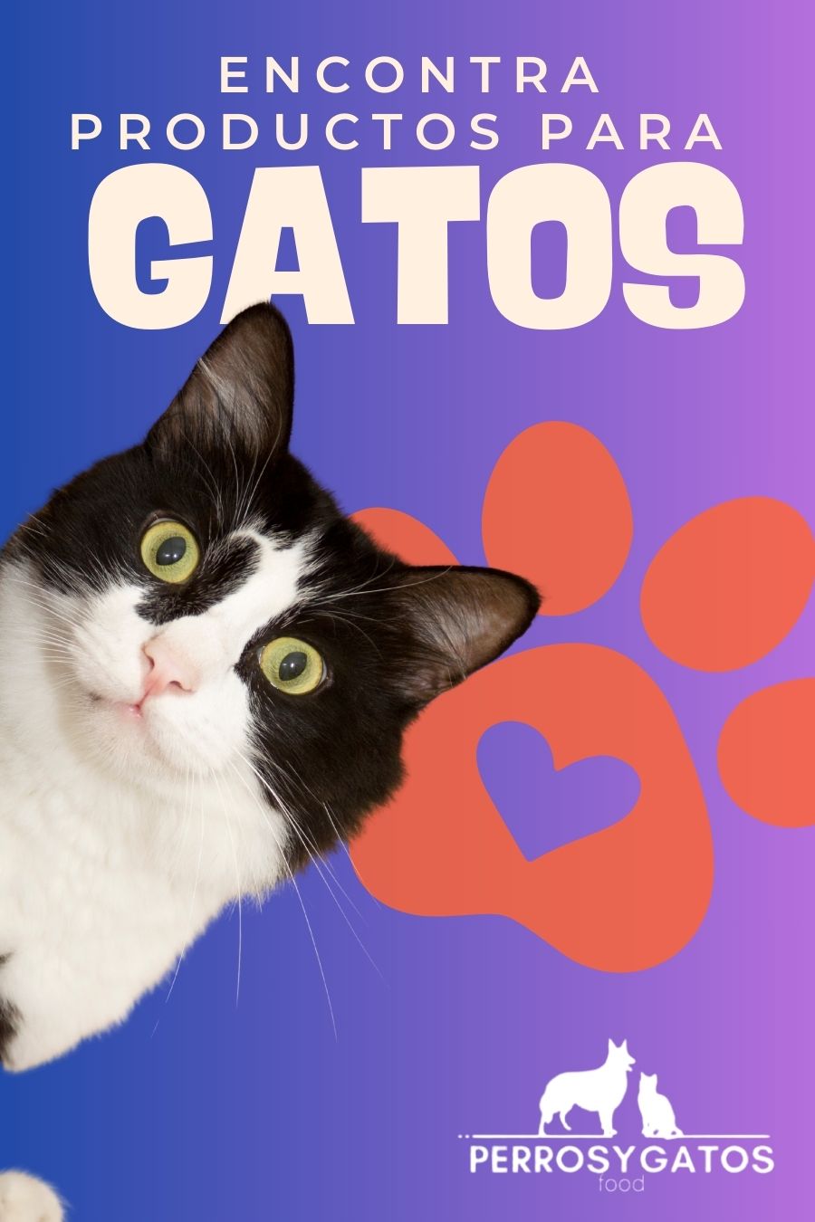 4° imagen que deb verse