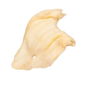 Oreja de Vaca Natural x Unidad