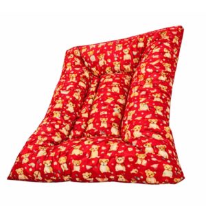 COLCHONETA TADICIONAL SOLANO 70CMX50CM