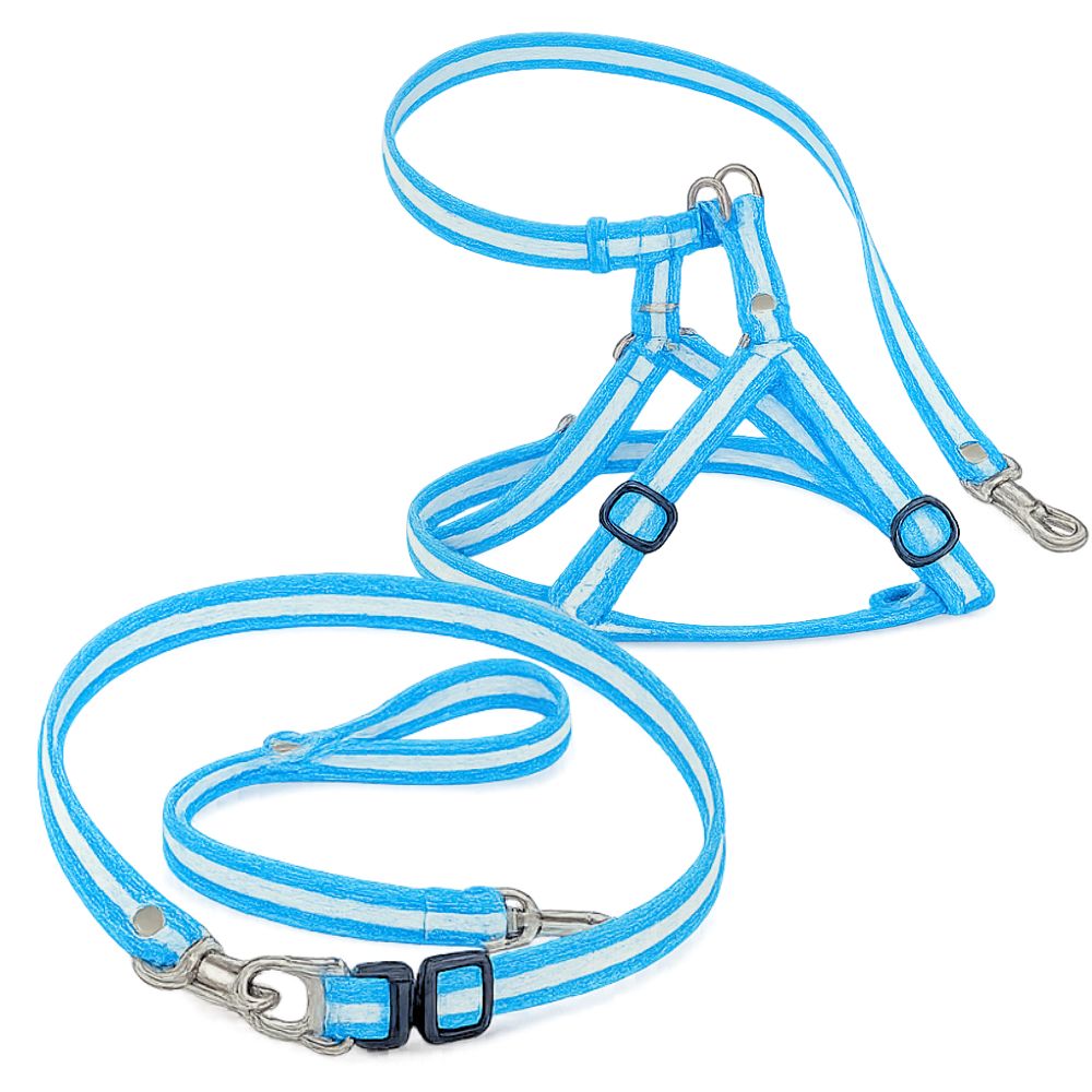 COLLAR O ARNES CON CORREA ARGENTINA