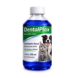 DENTAL PLAX