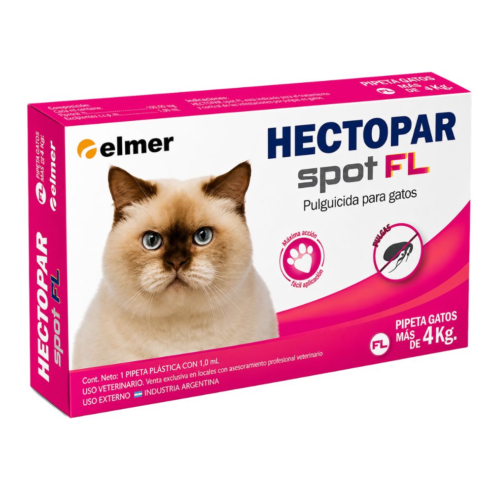 GATO GORDO (FL)
