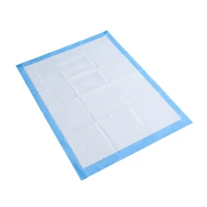 Paño Sanitario 60x90cm x Unidad